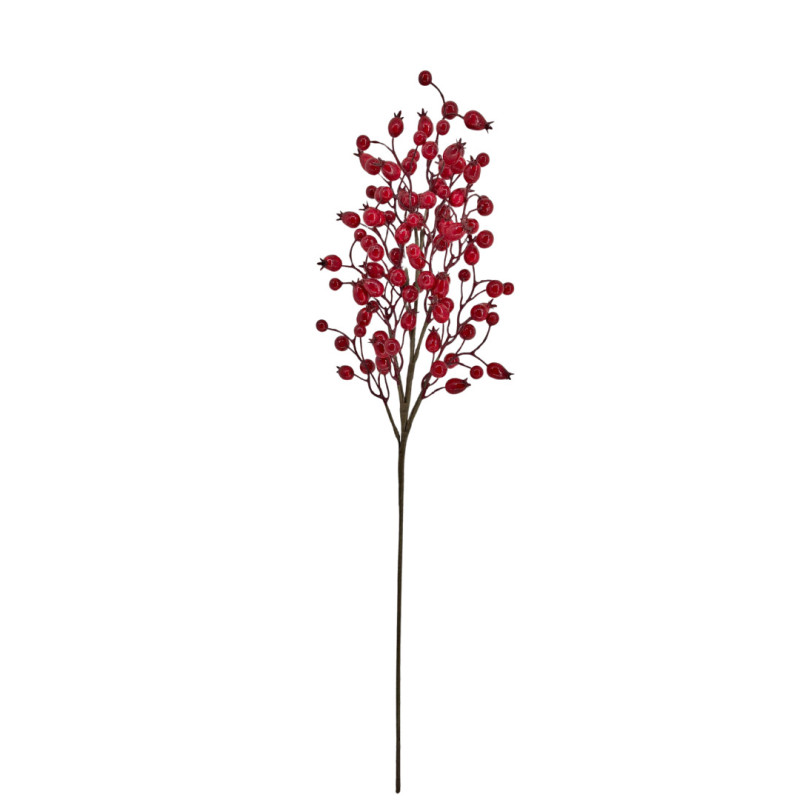RED BERRY STEM