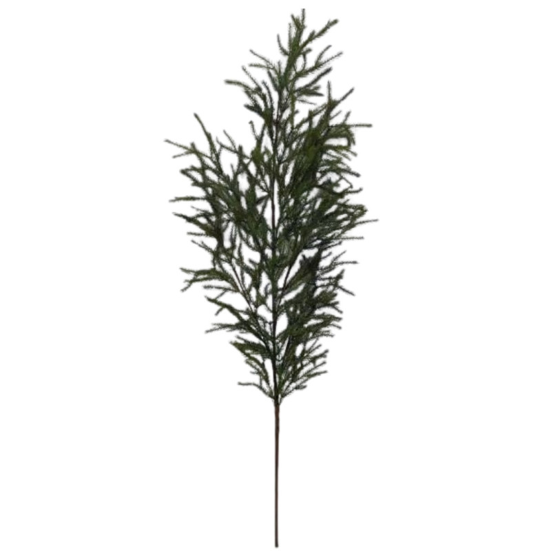 LEAF STEM