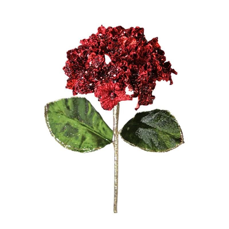 BURGUNDY BLOOM