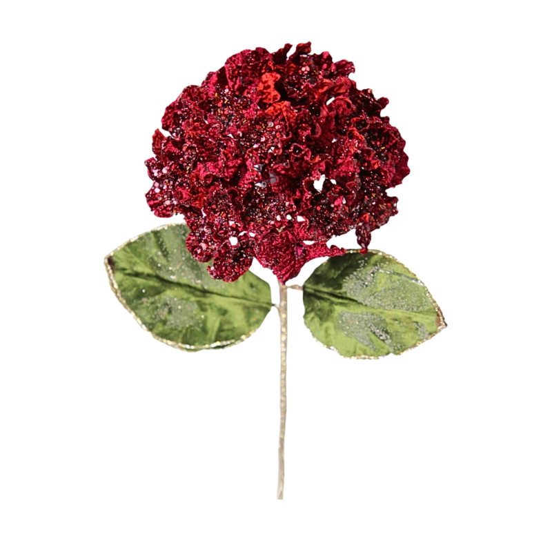 BURGUNDY BLOOM