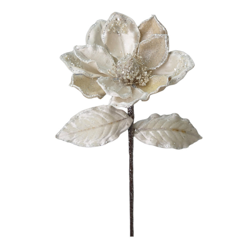 MAGNOLIA PEARL L