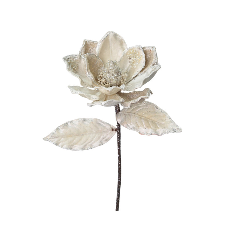 MAGNOLIA PEARL M