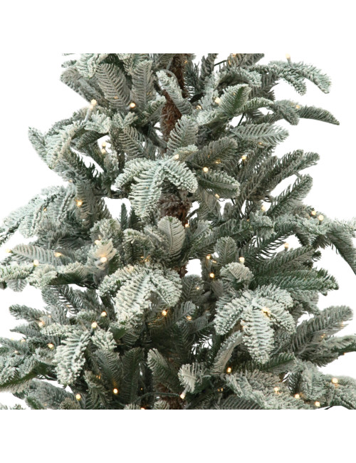 PEME ME BORE DHE DRITA LED 210 CM (TT348)