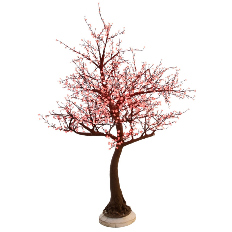CHERRY TREE