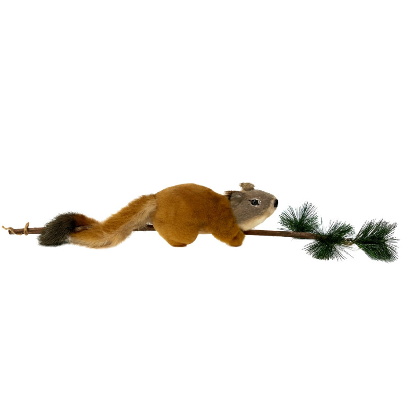 SQUIRREL ON BRANCH