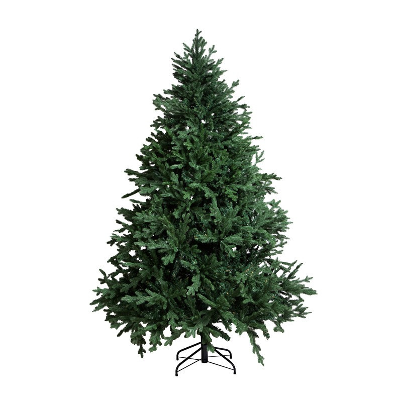 PEME JESHILE 240 CM