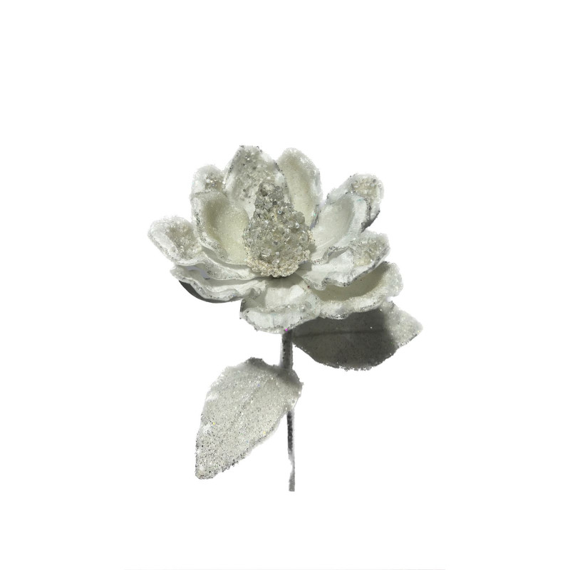 MAGNOLIA FLOWER