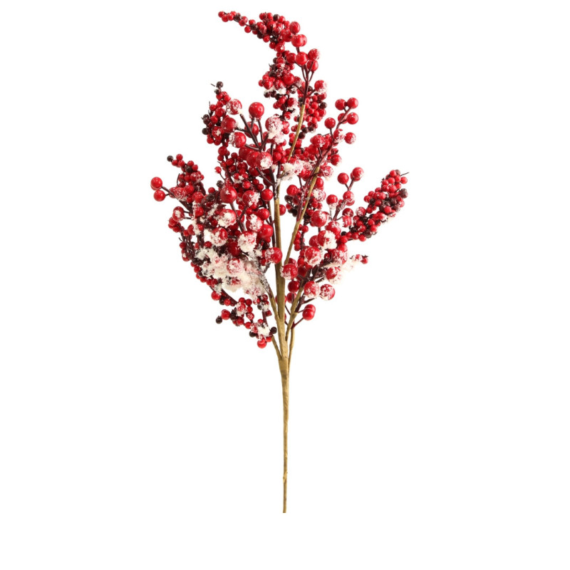 DEGE BERRIES ME BORE