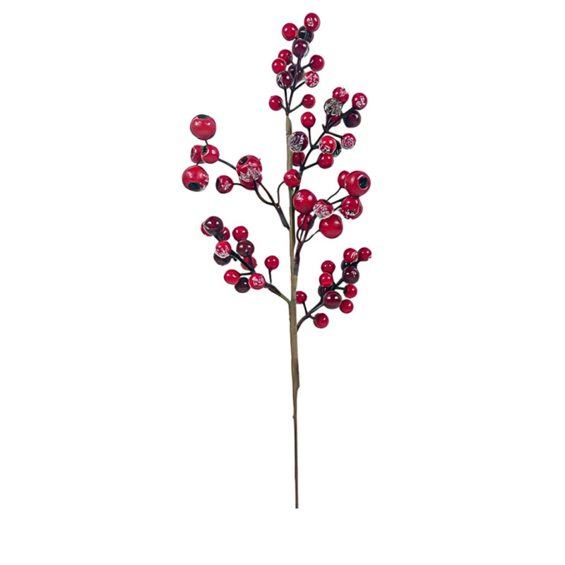 DEGE BERRIES ME BORE