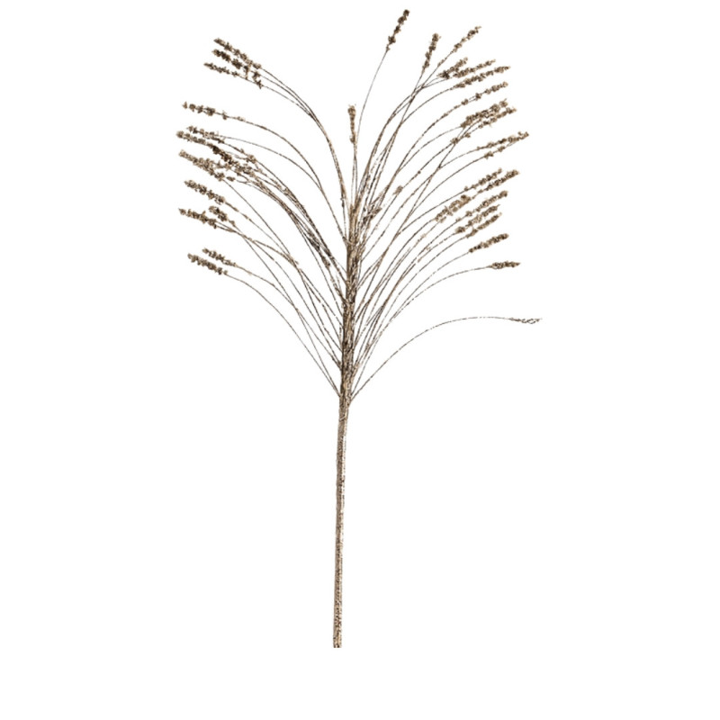 DEGE ME FIJE SHAMPANJE