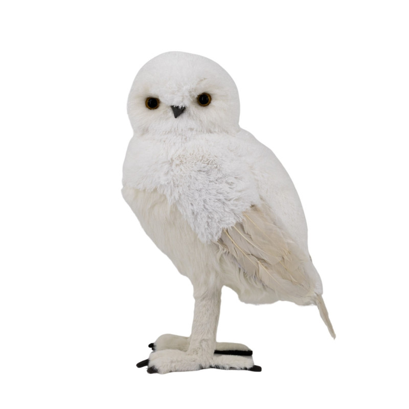 WHITE OWL