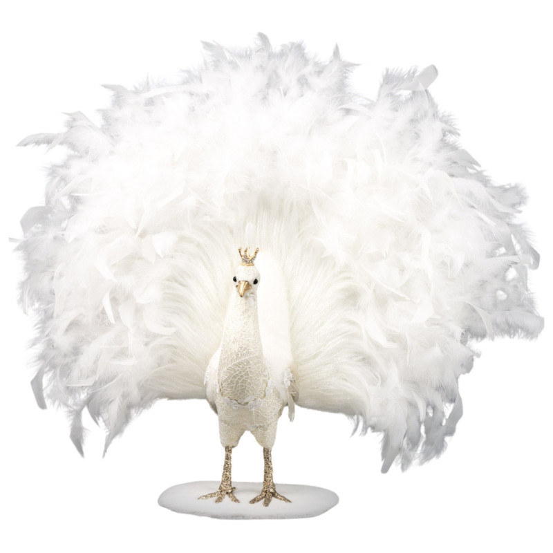 WHITE PEACOCK M