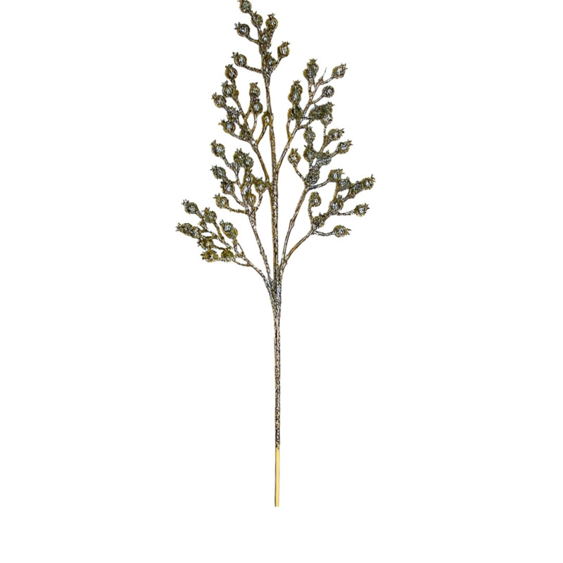 BERRIES CHAMPAGNE BRANCH