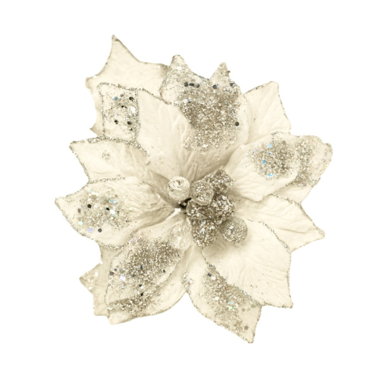 LULE POINSETA E BARDHE S