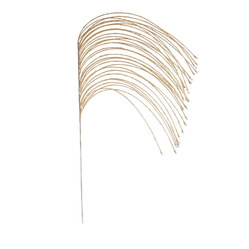 DEGE ME FIJE SHAMPANJE