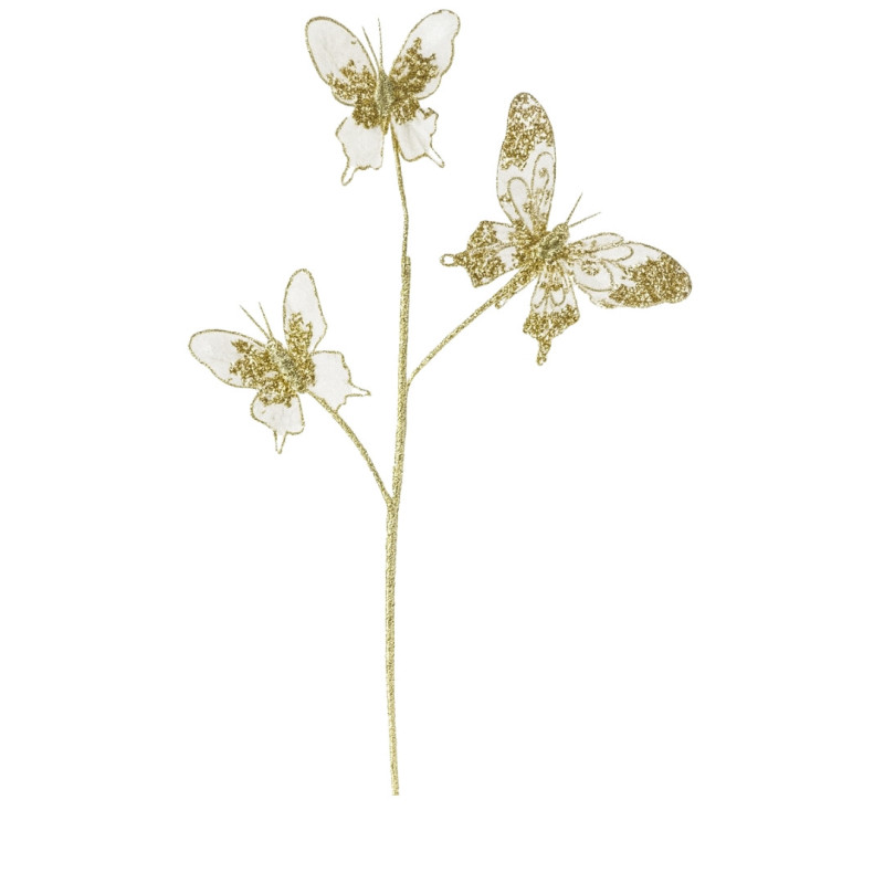 DEGË FLUTURASH E BARDHE