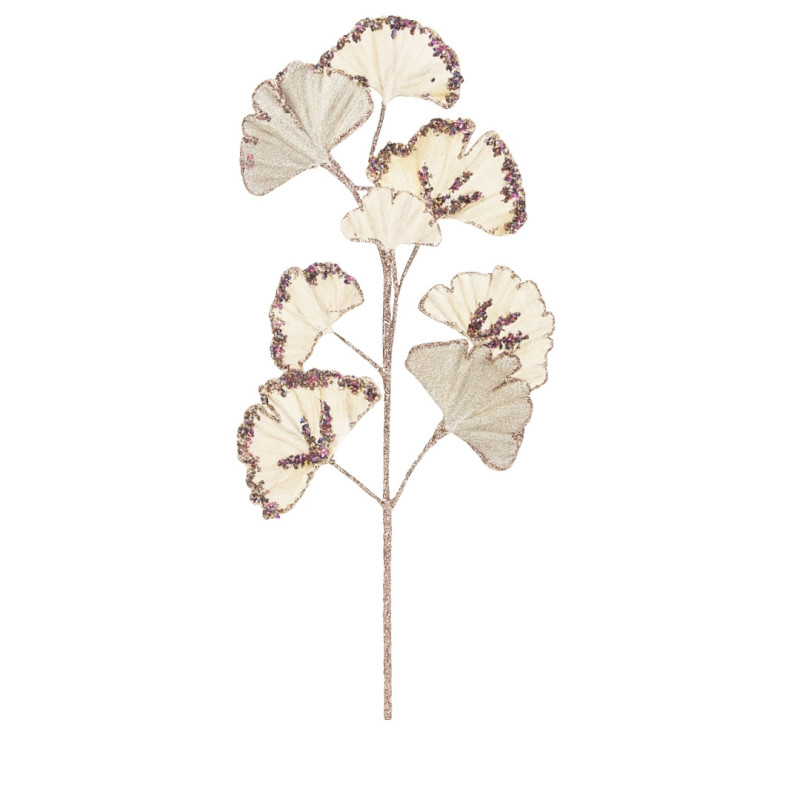 DEGE GINKGO SHAMPANJE