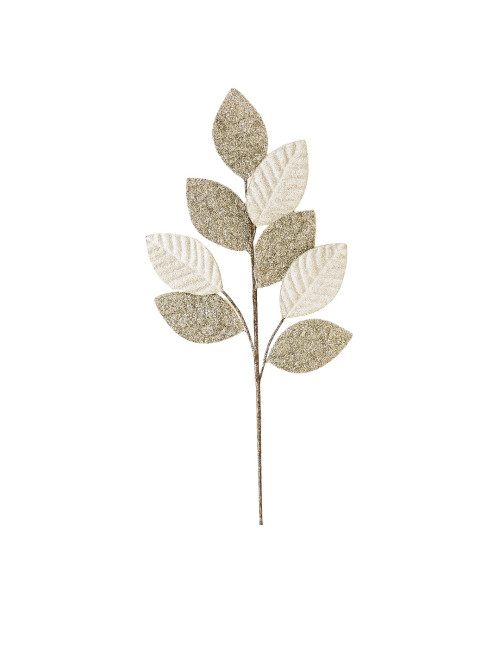 DEGE ME GJETHE LIMONI