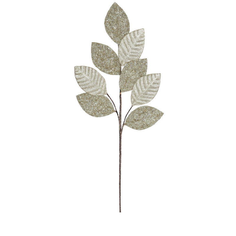 DEGE ME GJETHE LIMONI