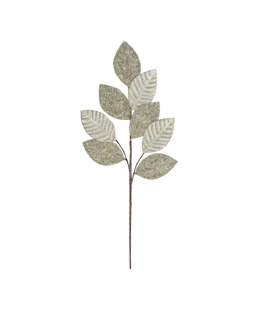 DEGE ME GJETHE LIMONI