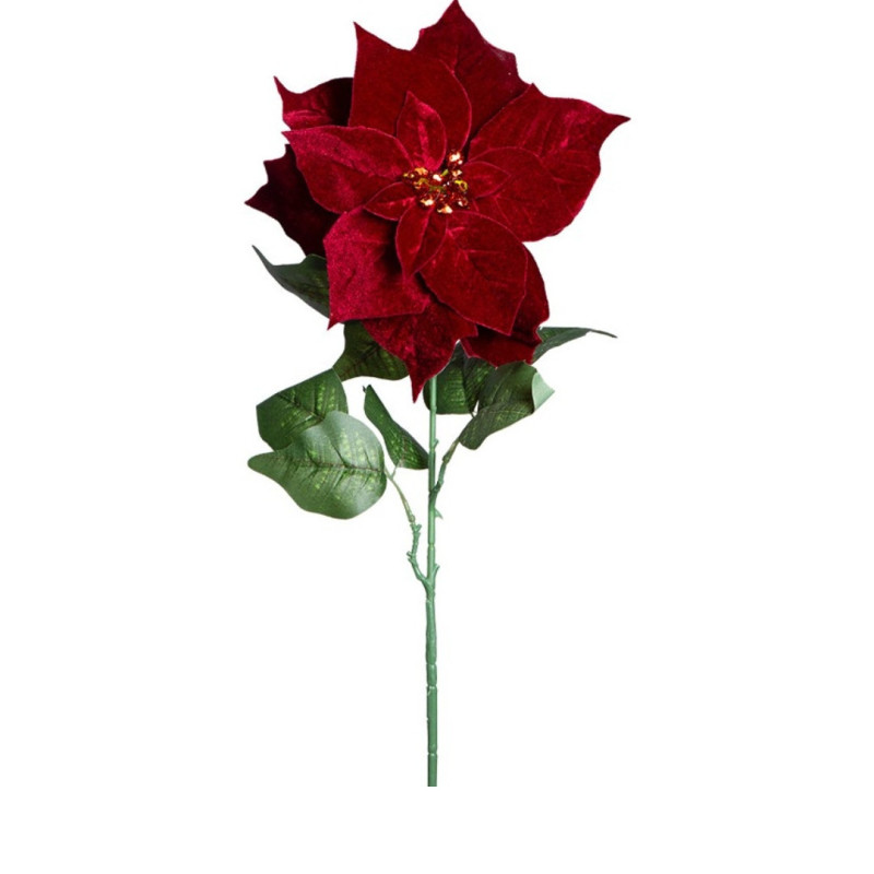 LULE KRISHTLINDJESH E KUQE