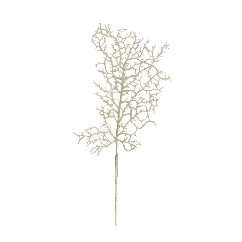 DEGE GJYSEM KORALI E BARDHE