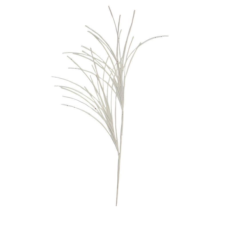 CHAMPAGNE THREAD BRANCH