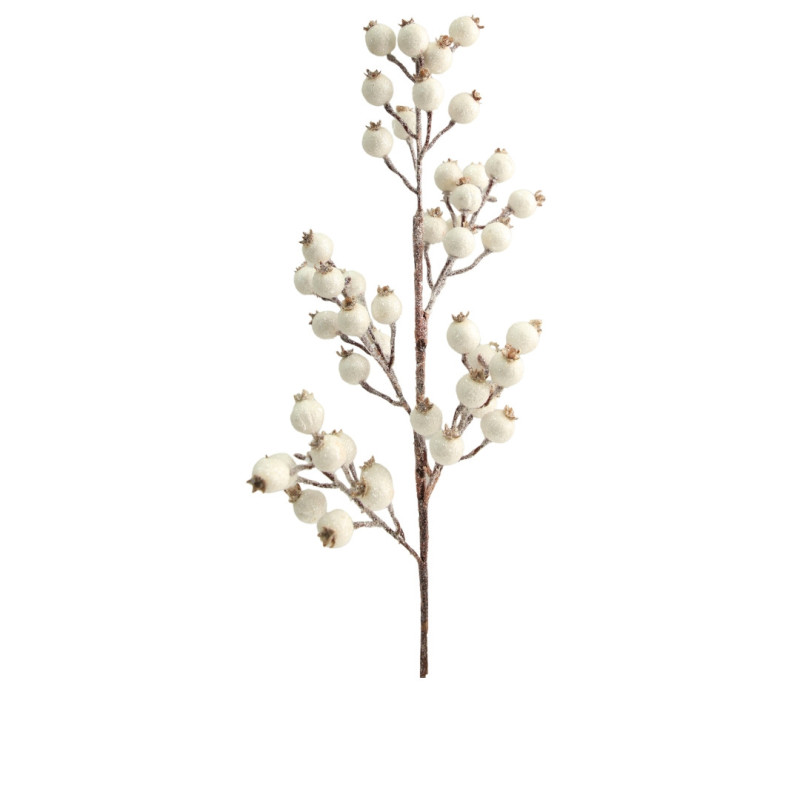 WHITE BERRIES BRANCH
