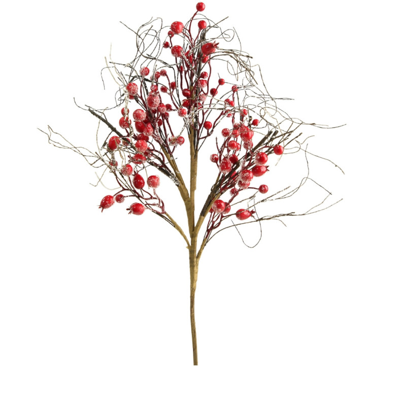 DEGE BERRIES ME DEGE TE THATA