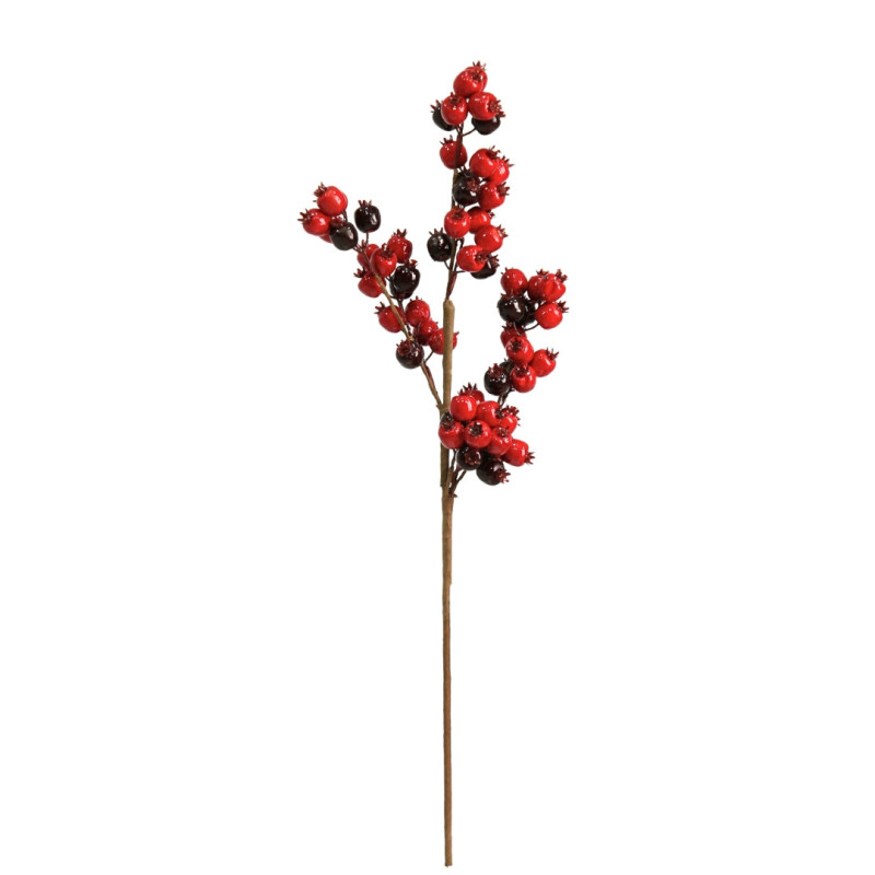 BRANCH WITH RED BERRIES