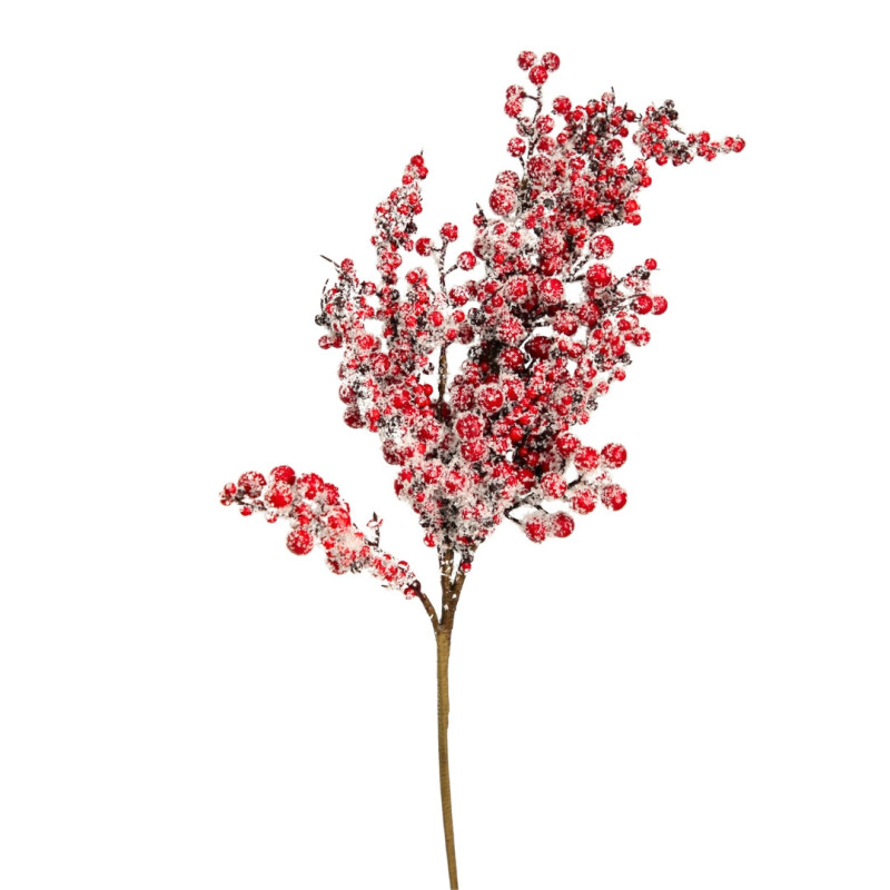 BERRIES BRANCH WITH SNOW