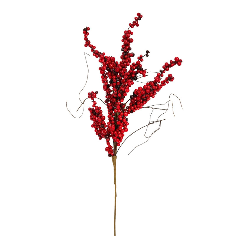 RED BERRY BRANCH