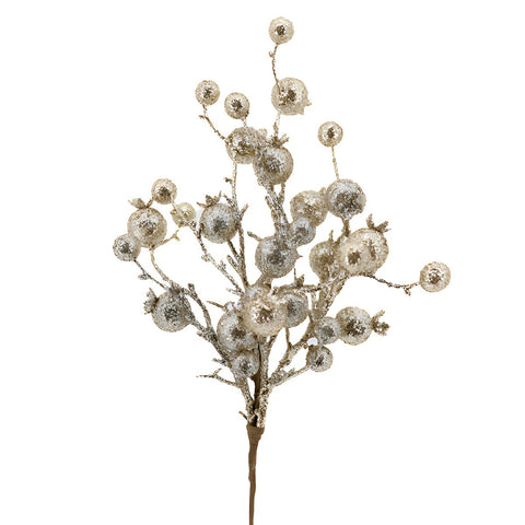 DEGE BERRIES SHAMPANJE