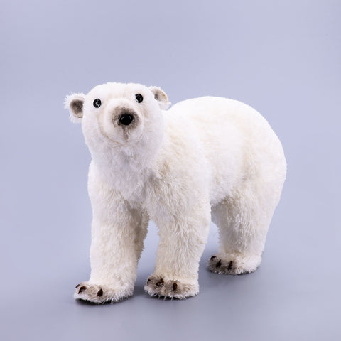 ARI POLAR I BARDHE