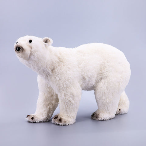 ARI POLAR I BARDHE