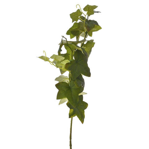 DEGE ARTIFICIALE IVY