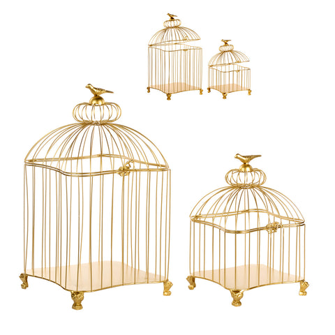 SET KAFAZI AVIARY