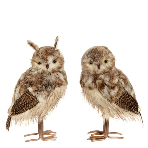 FURRY BROWN OWL