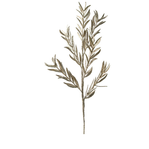 CHAMPAGNE FERN BRANCH