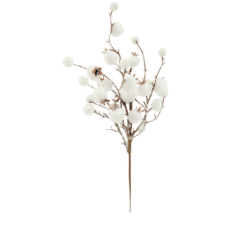 WHITE BERRIES BRANCH