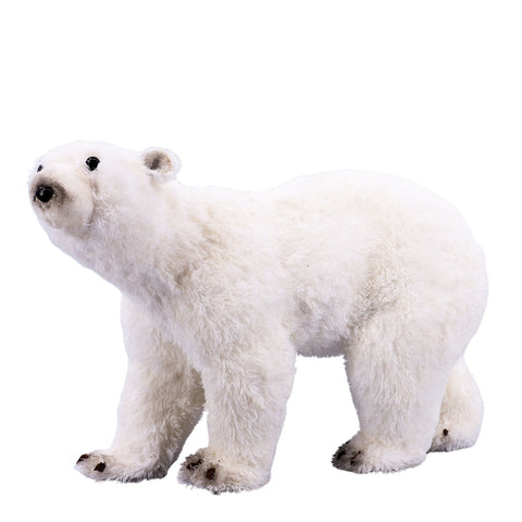 ARI POLAR I BARDHE