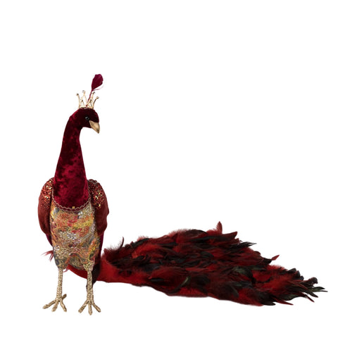 RED PEACOCK
