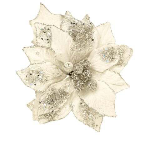 WHITE POINSETA FLOWER M