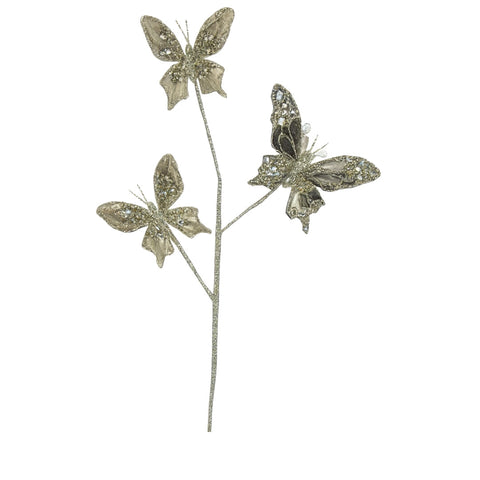 BROWN BUTTERFLY BRANCH