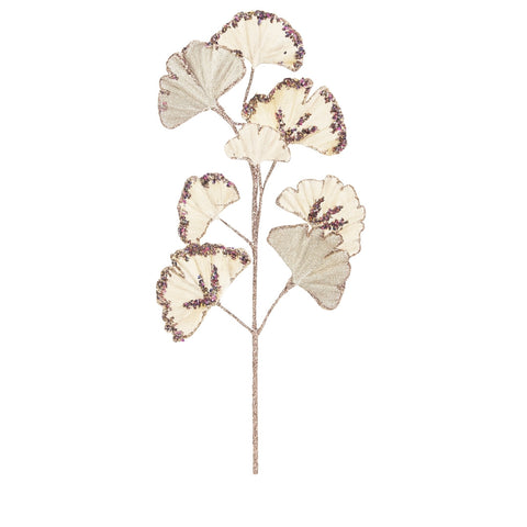GINKGO BRANCH CHAMPAGNE