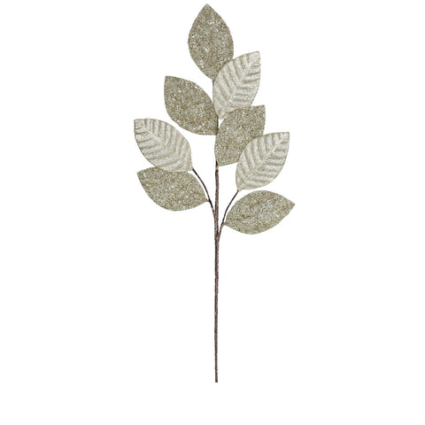 LEMON LEAVES BRANCH