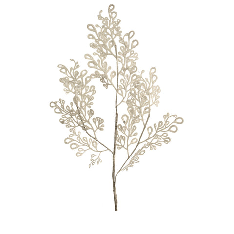 WHITE FERN BRANCH