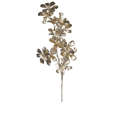 CHAMPAGNE FLOWERS
