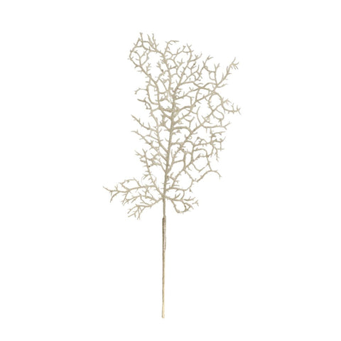 HALF WHITE CORAL BRANCH