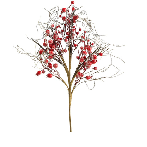 BERRIES BRANCH WITH DRY BRANCHES
